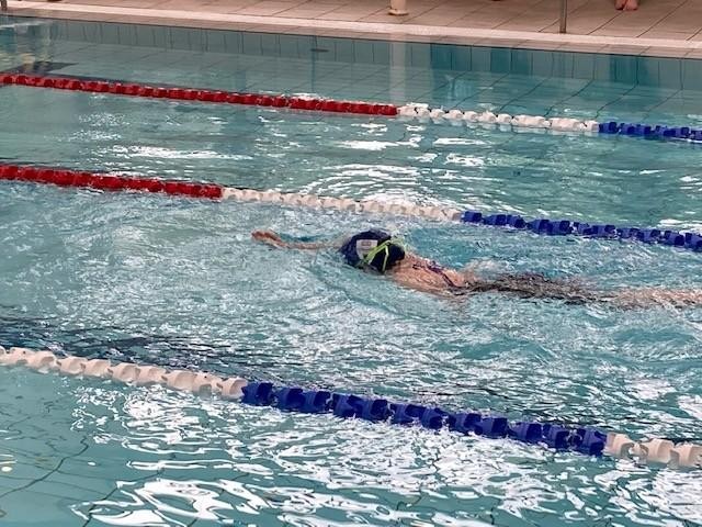 Swimming - Billinghurst locality - 17 gold medals and 3 silver medals - invincible team!