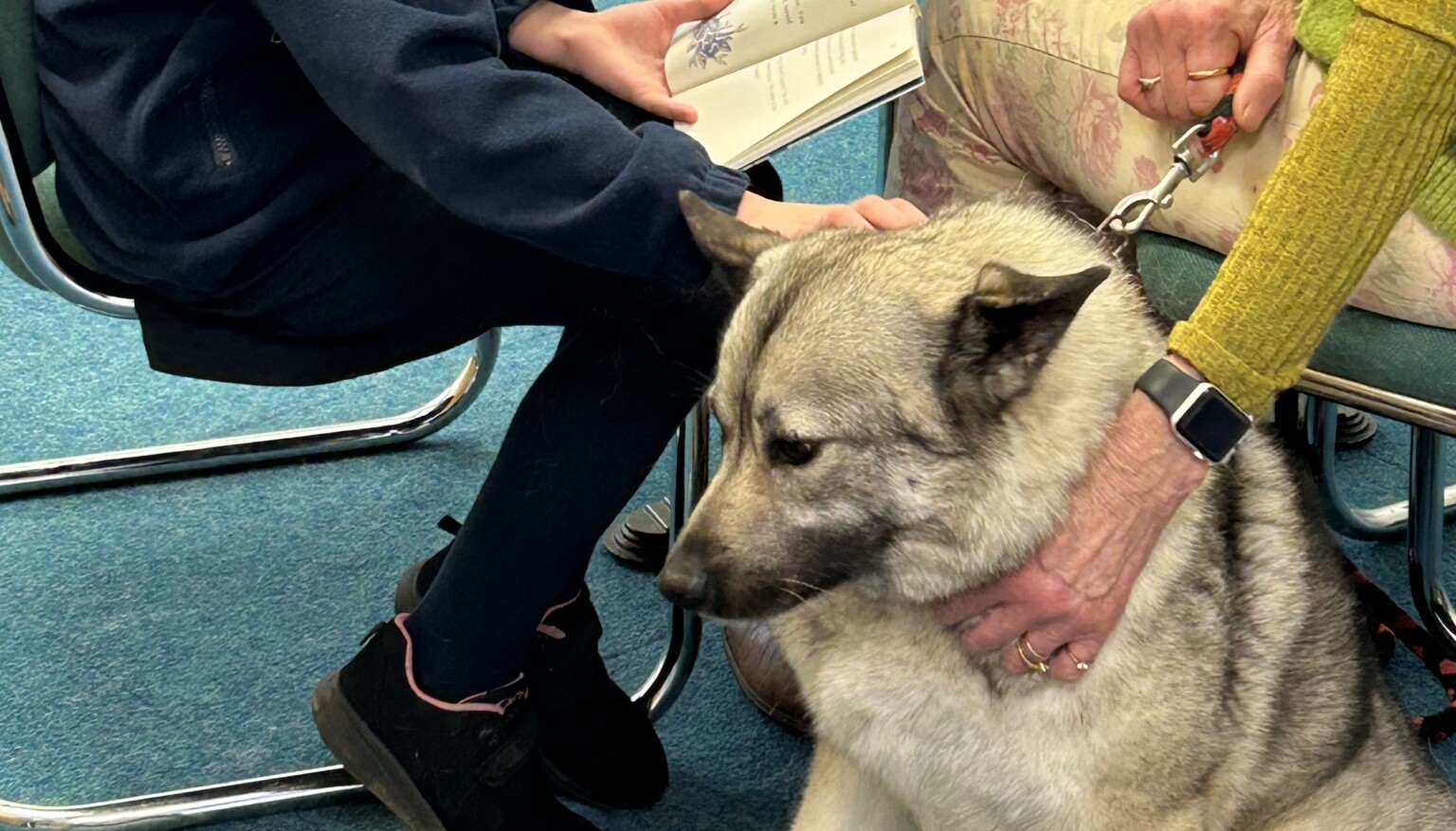 Our Pets As Therapy reading dog
