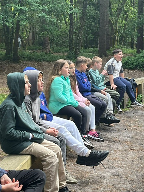 Campfire
