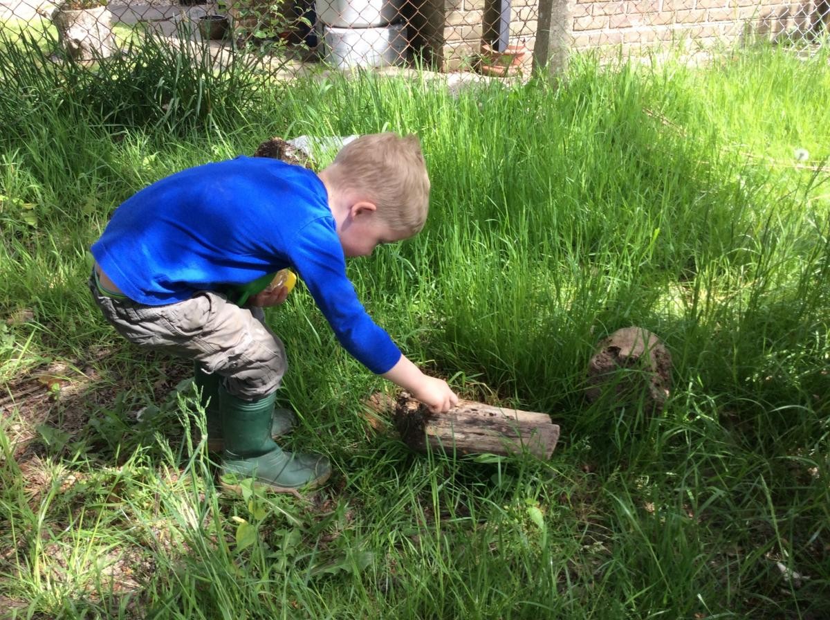 Mini-beast mission