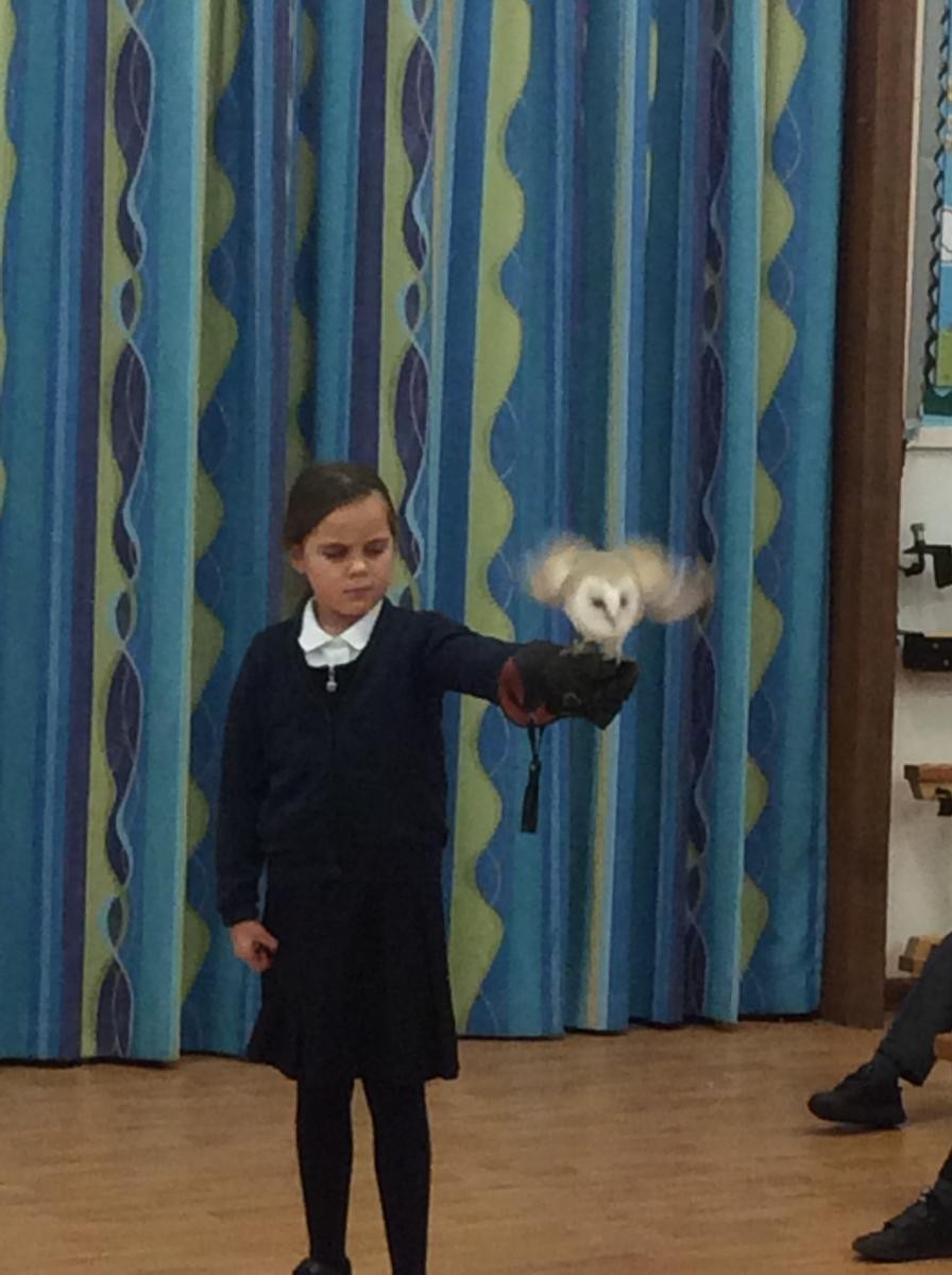 Hawking About for our topic of 'Predators and Prey'...