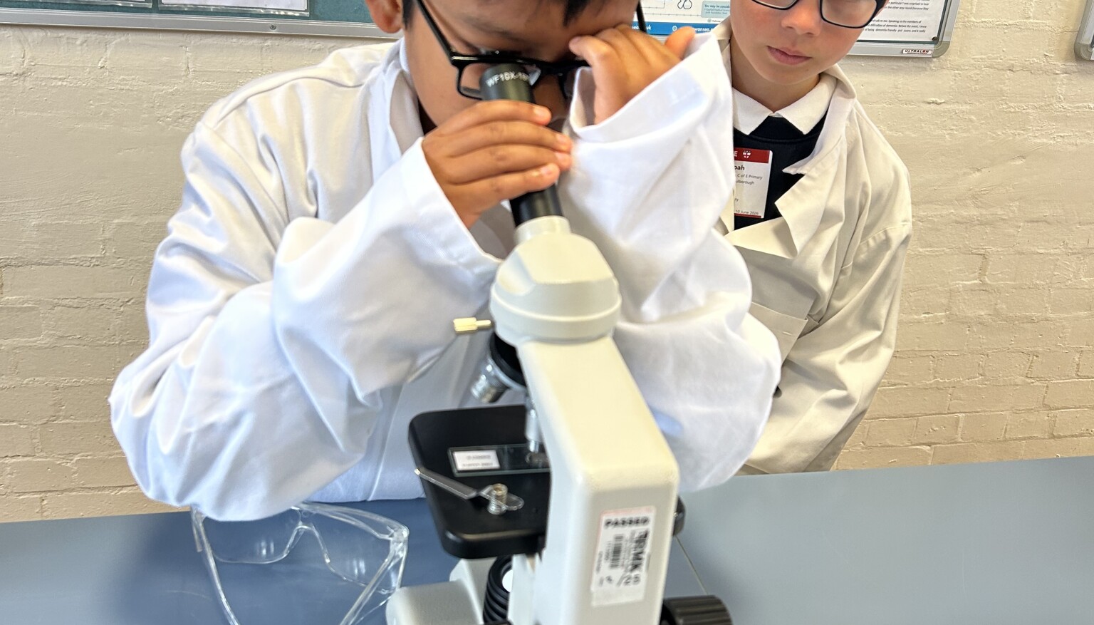 Being the 'expert'