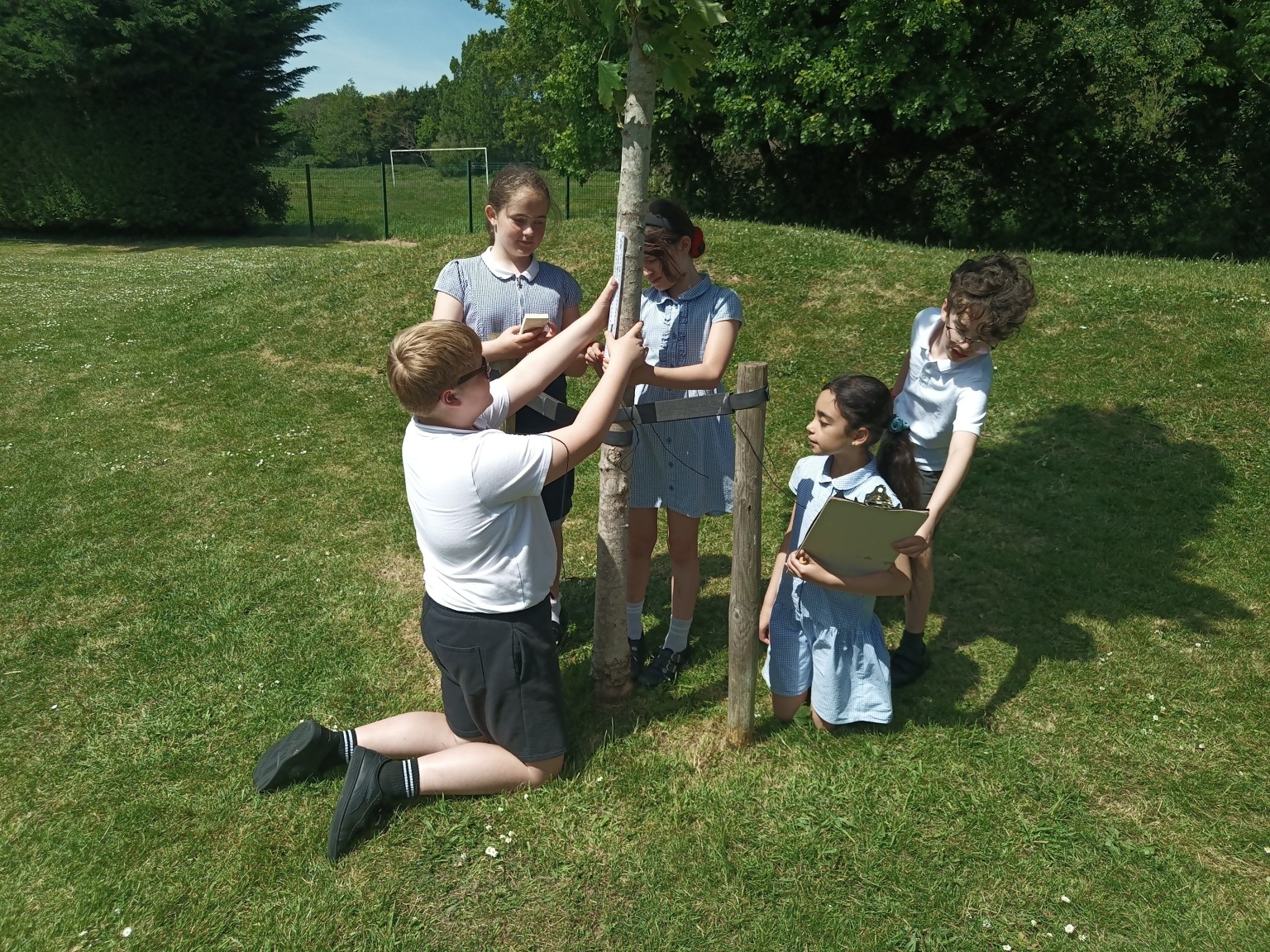 Outdoor Classroom Day