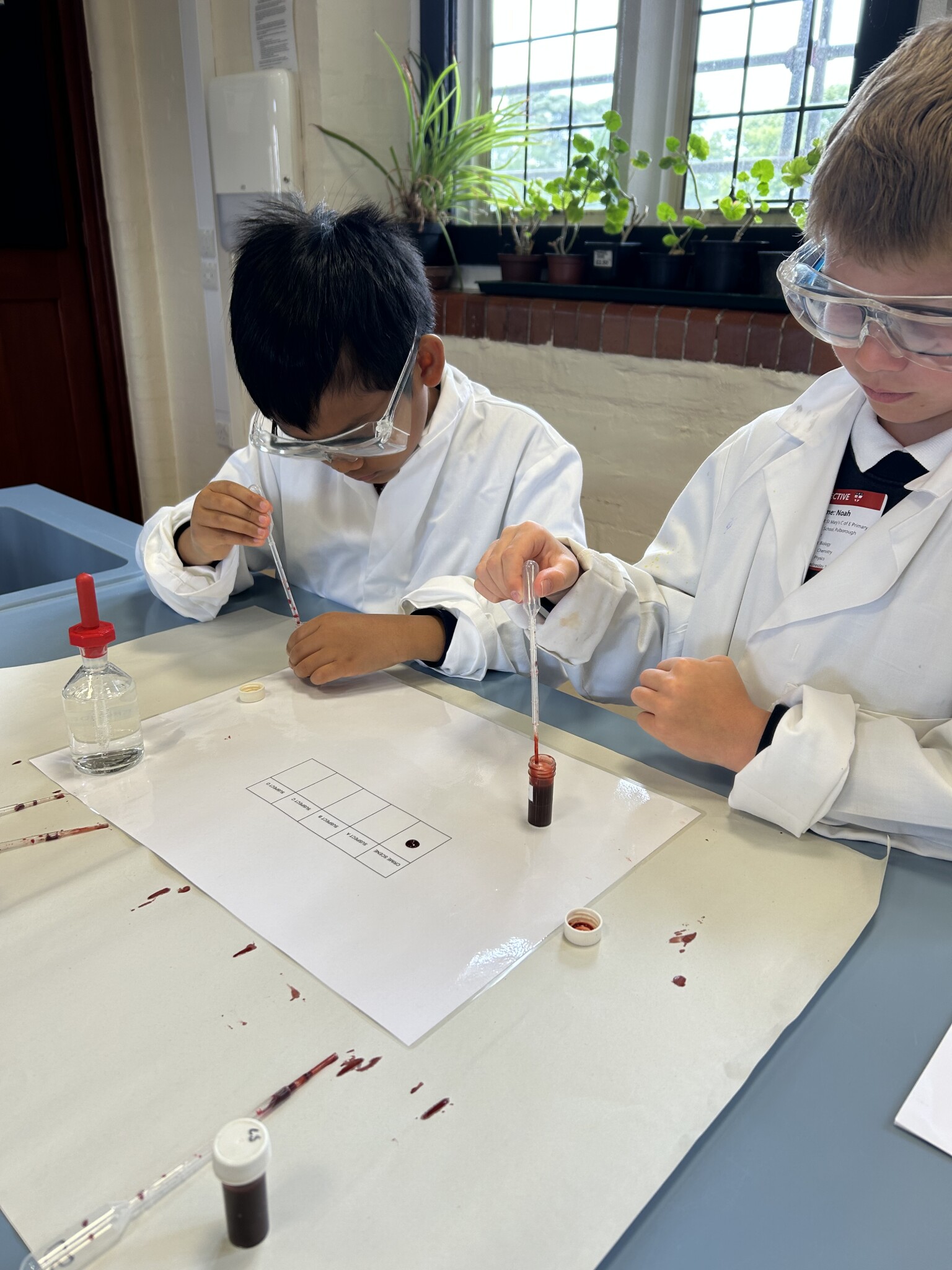 Who ate the doughnuts? Science enrichment day at Christ's Hospital