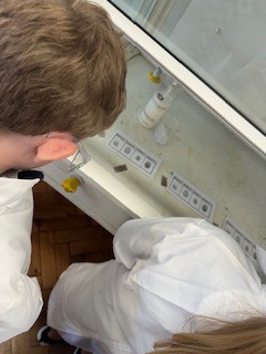 Science investigation - Christ's Hospital