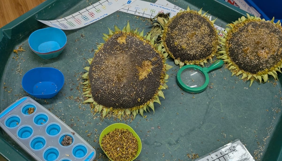 Finding out about our world - using fine motor skills