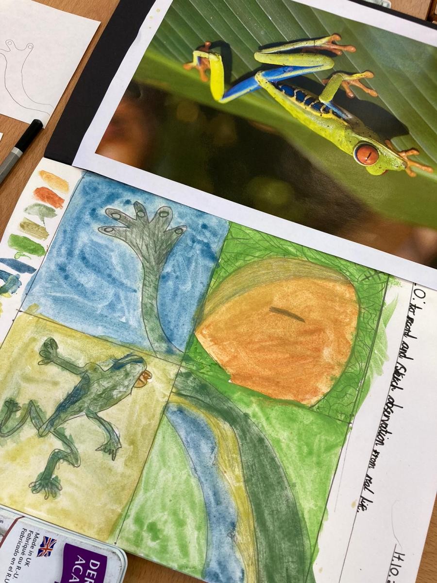 Drawing from wildlife...