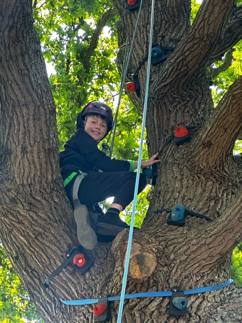 Tree climb
