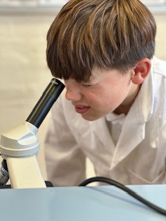Science investigation - Christ's Hospital