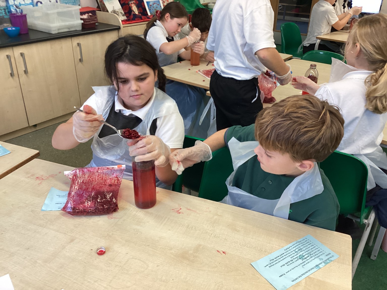 Blood and circulation