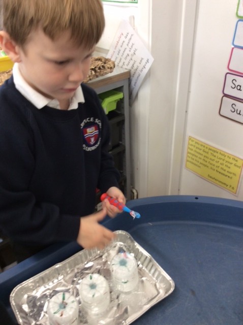 Knowledge of the world - how to clean our teeth