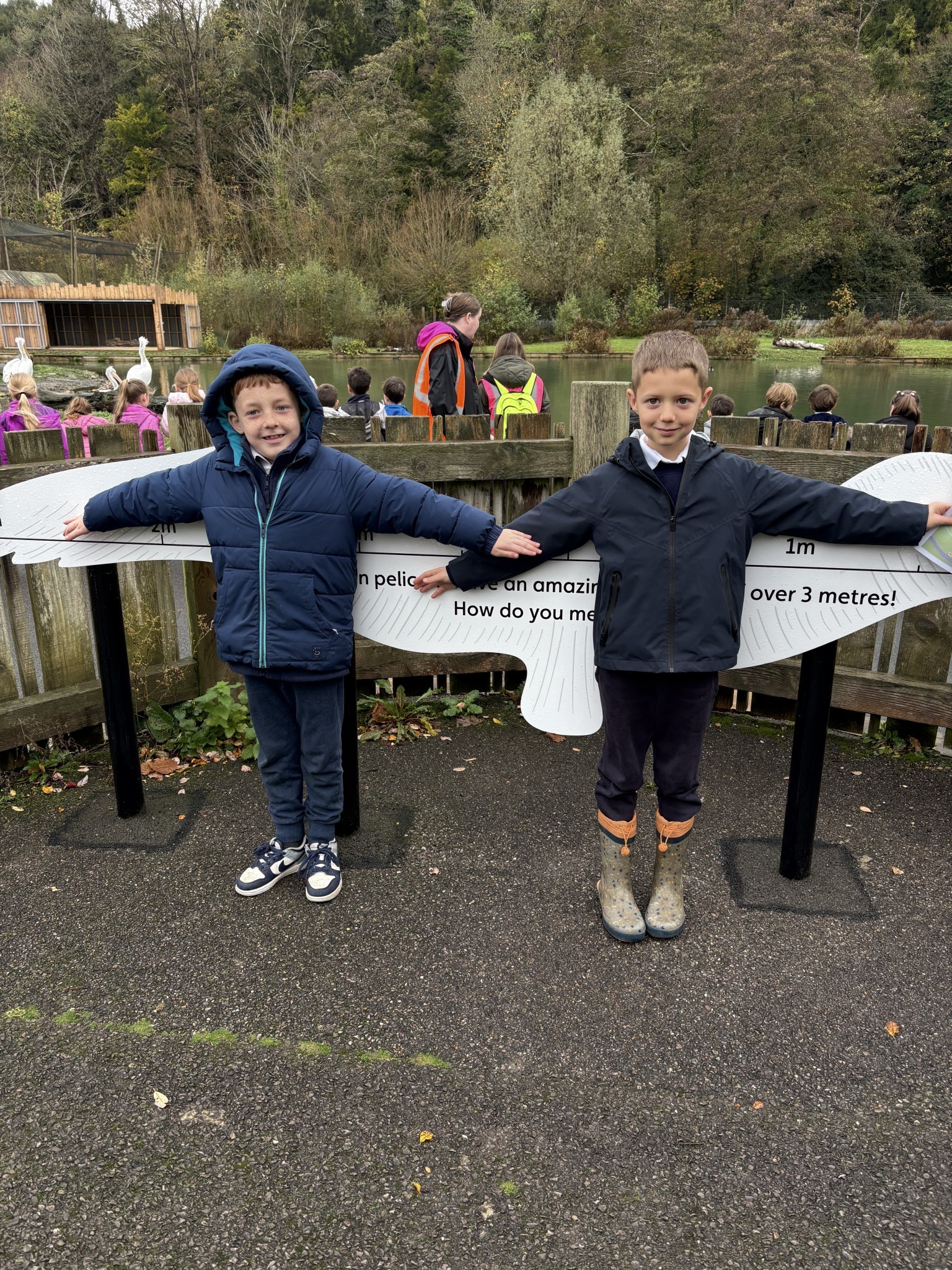 Arundel Wildfowl and Wetlands visit