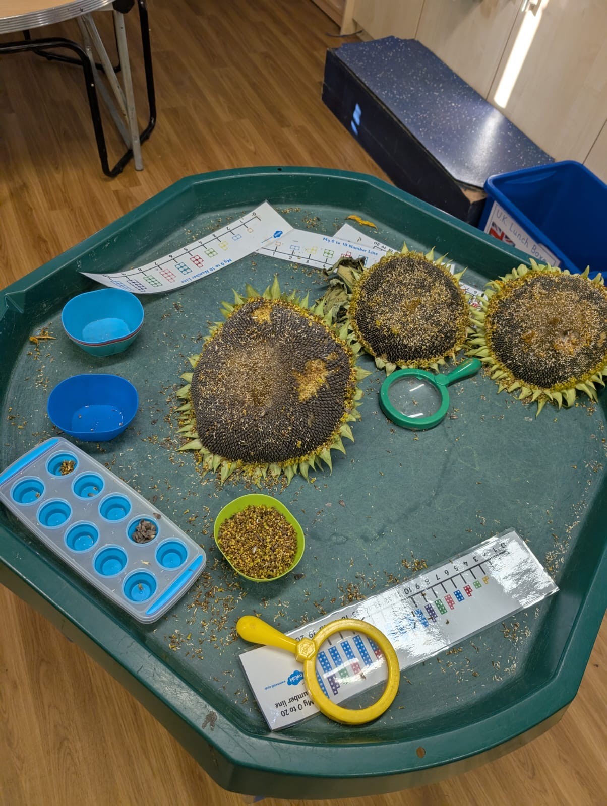 Knowledge and understanding of the world