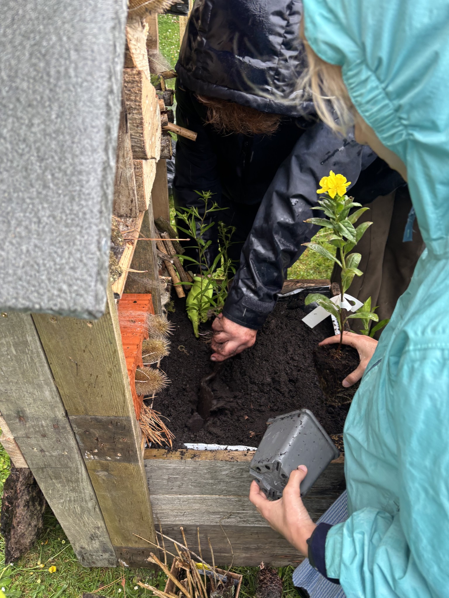Pollination Station