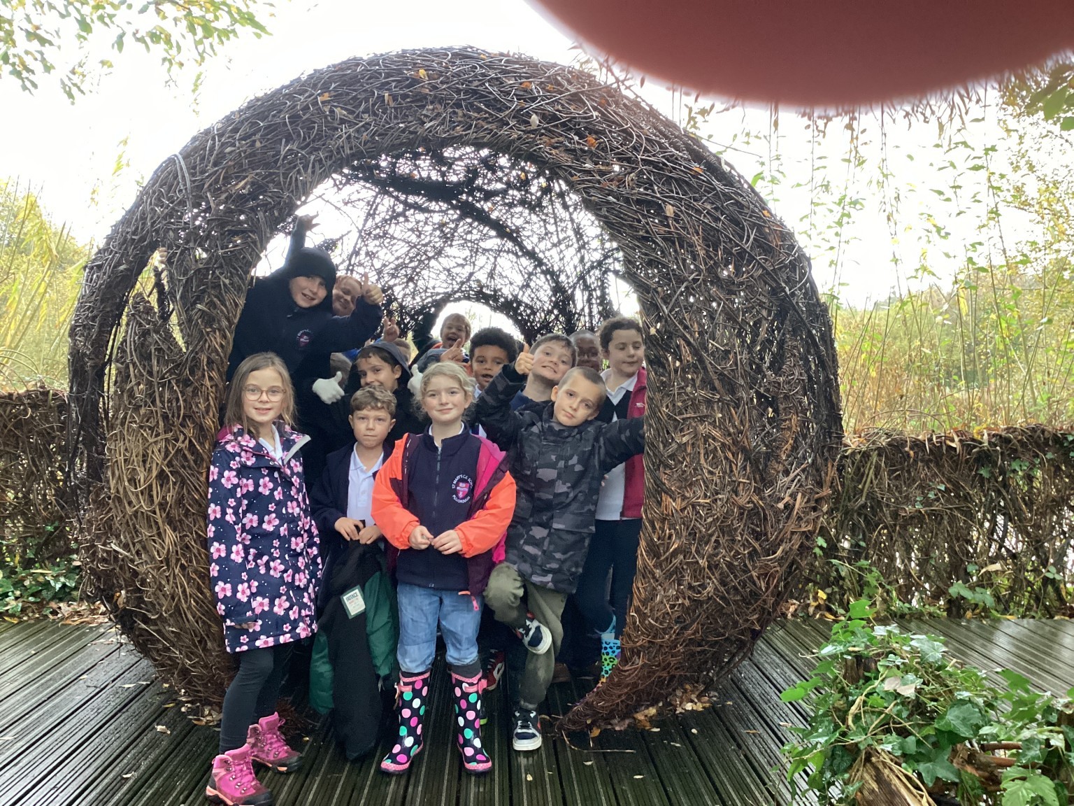 Arundel Wildfowl and Wetlands visit