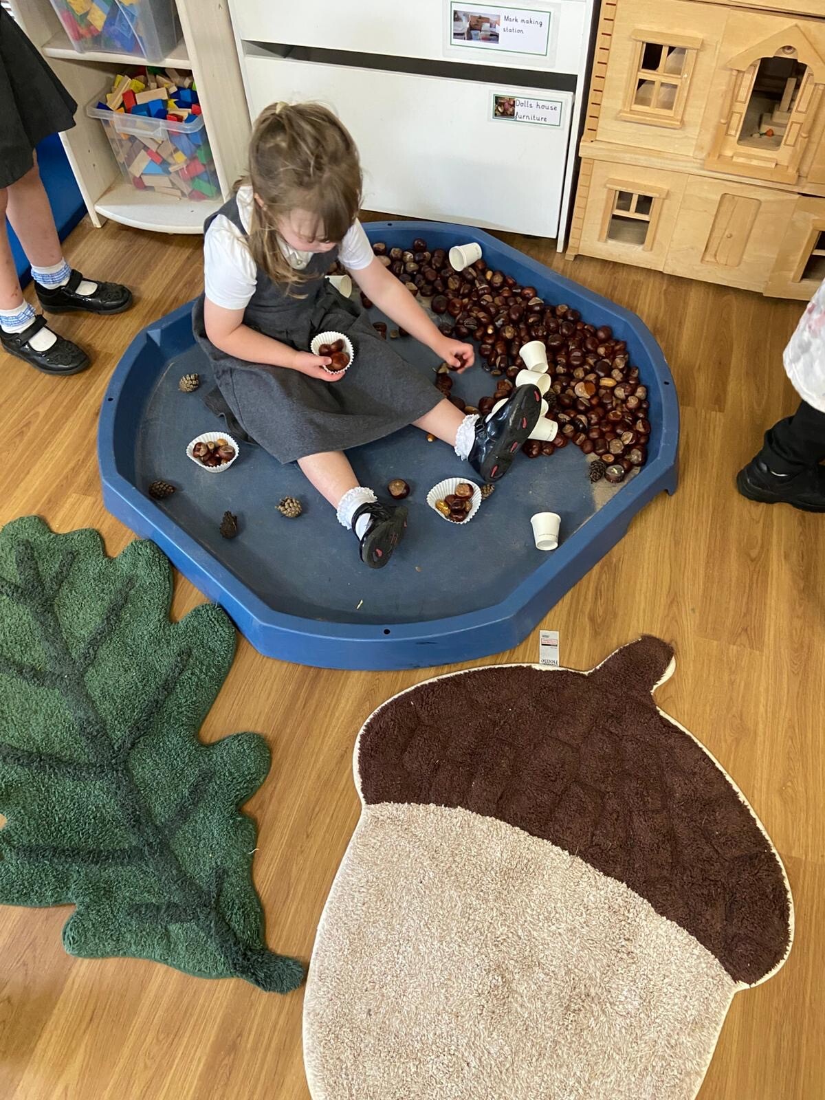 Maths - counting of acorns - use of natural resources