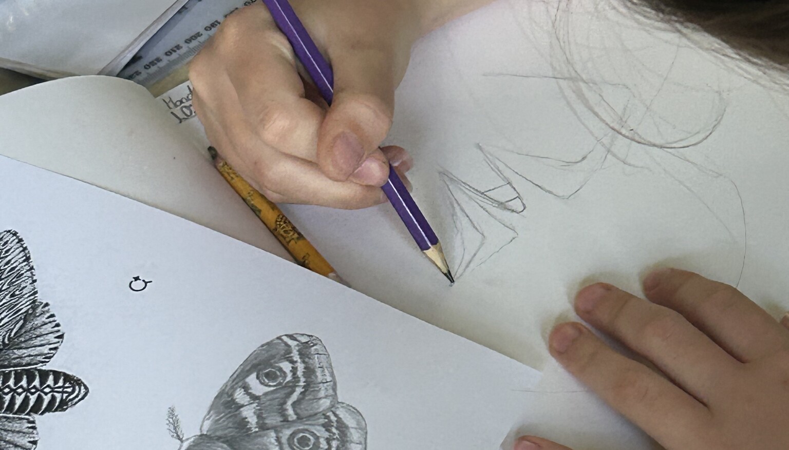 Moth sketching Y6