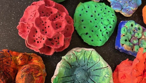 Coral sculptures - art outcomes