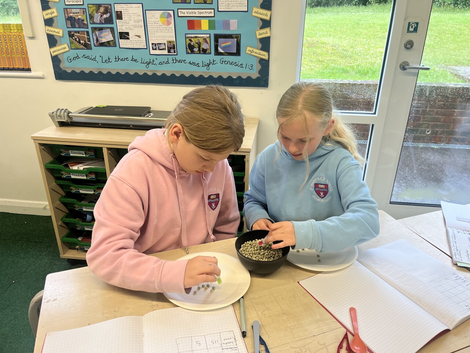 Science Year 6