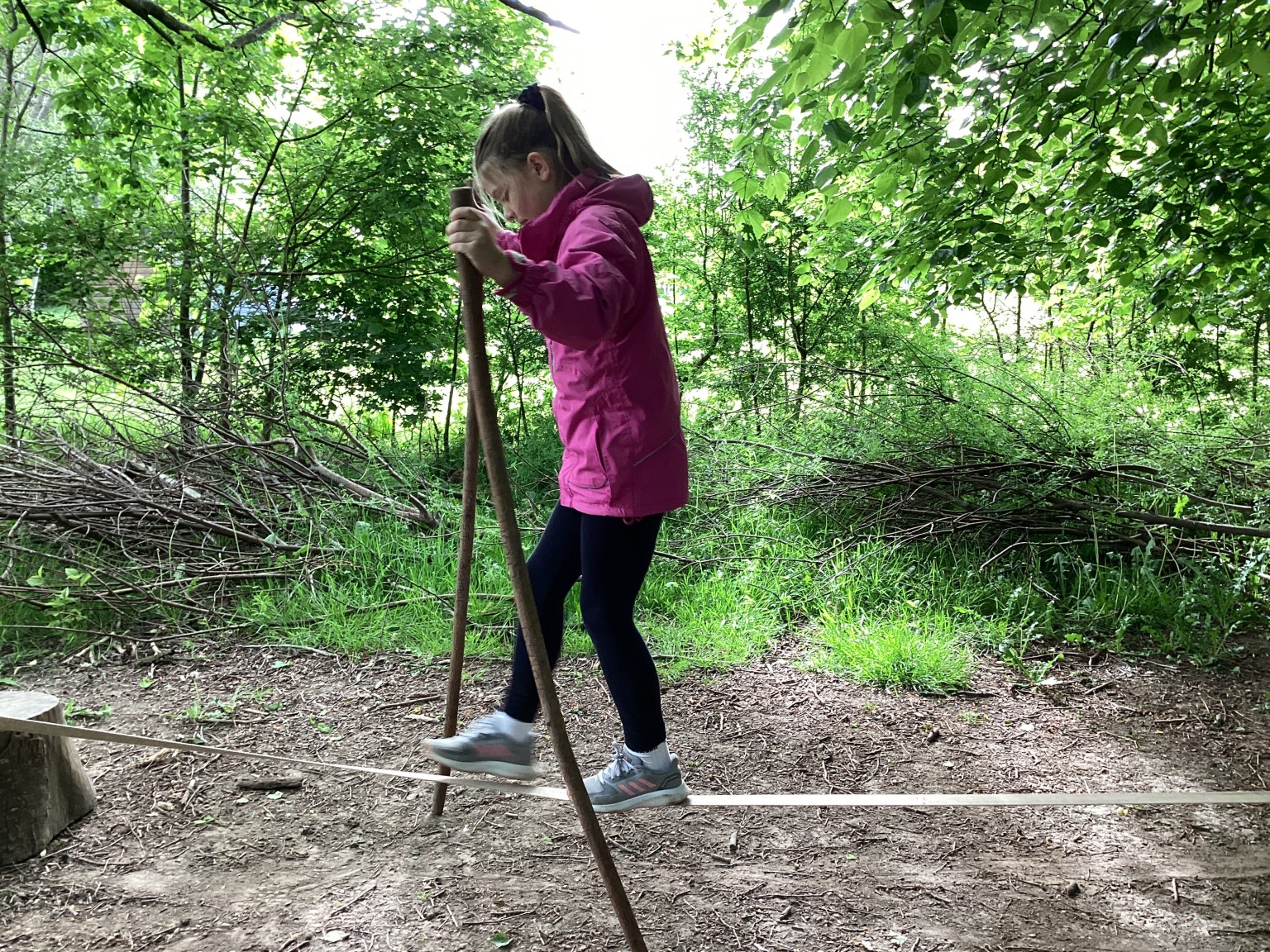 USA Forest School