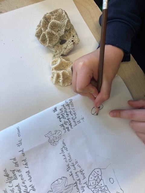 Sealife modelling...