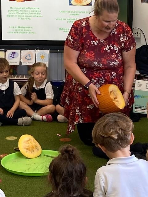 We make soup with our pumpkins...