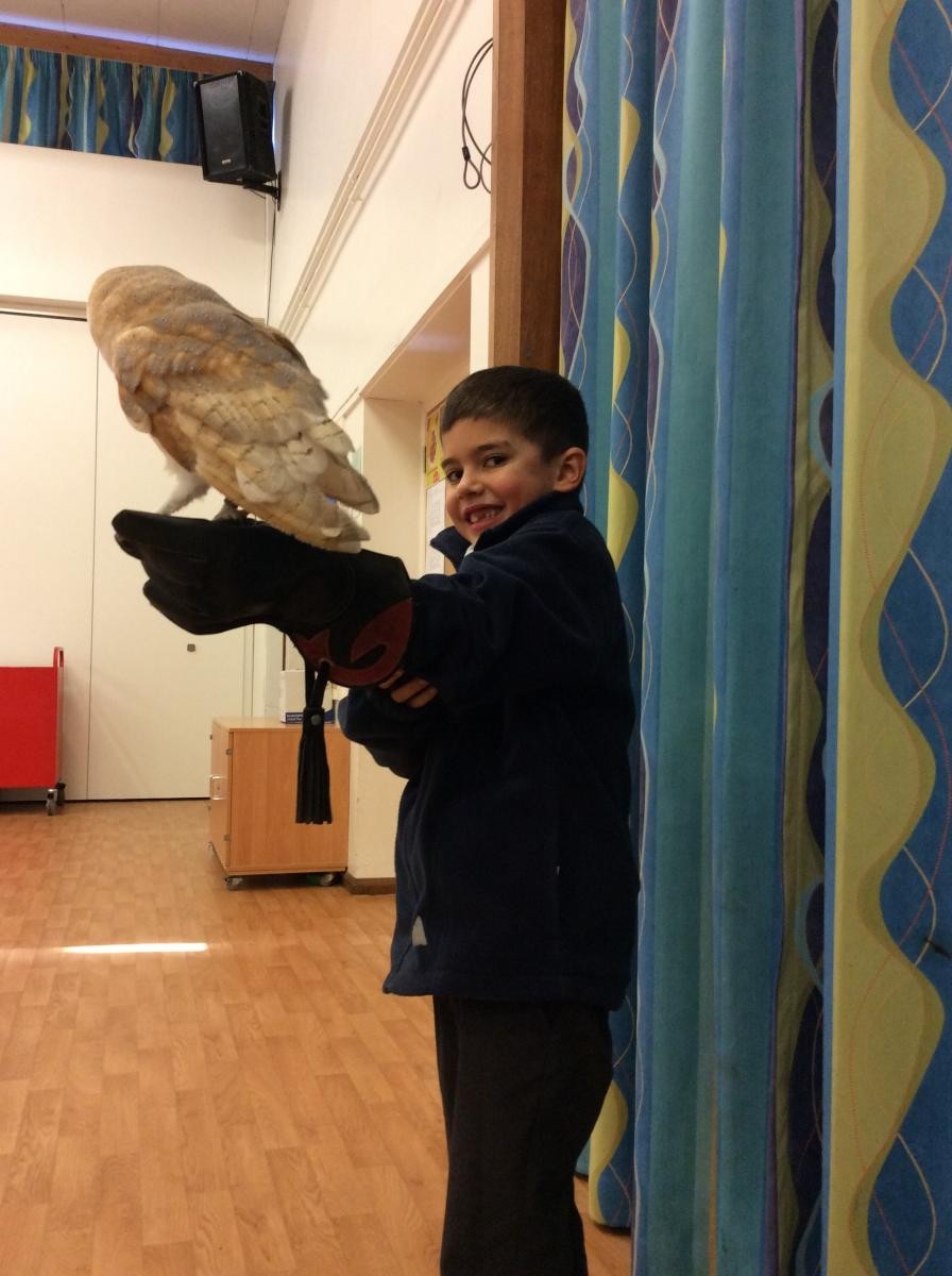 Hawking About for our topic of 'Predators and Prey'...