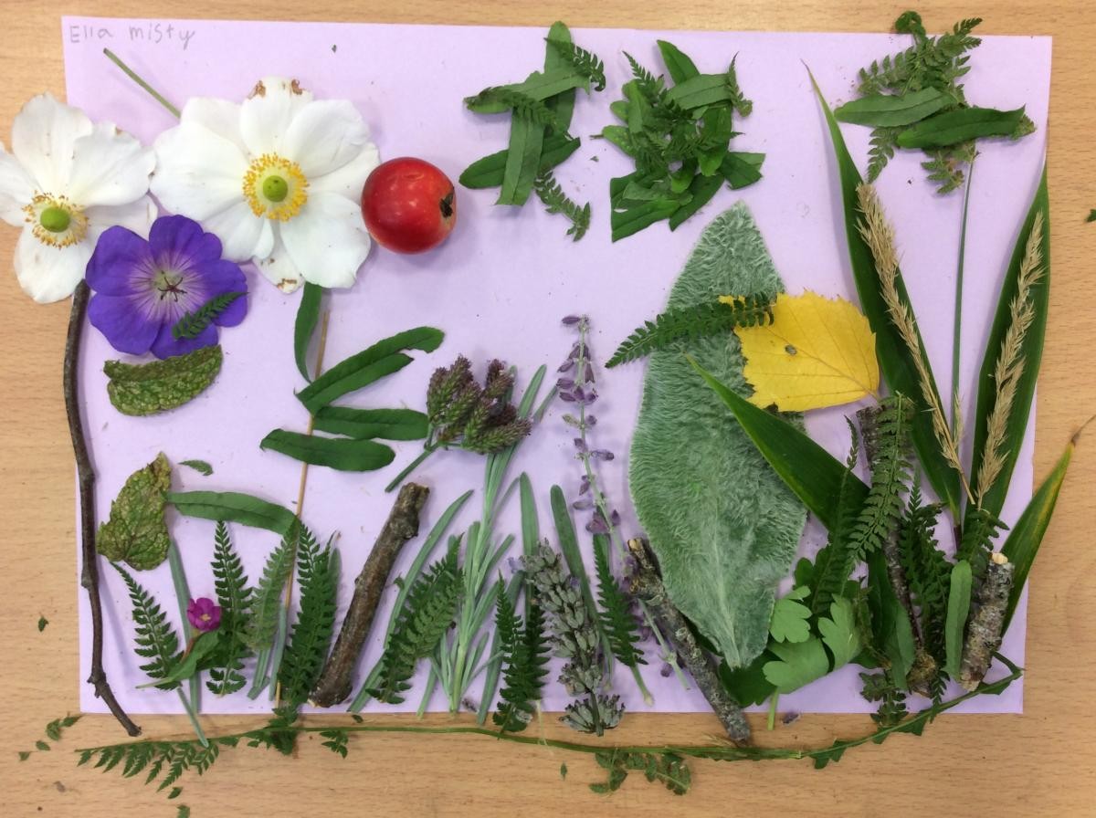 Creation through a child's eyes