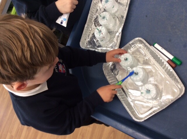 Looking after ourselves - cleaning our teeth - teaching these skills for independence