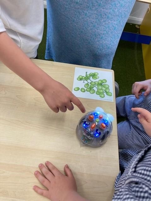 Programming the Bee Bots