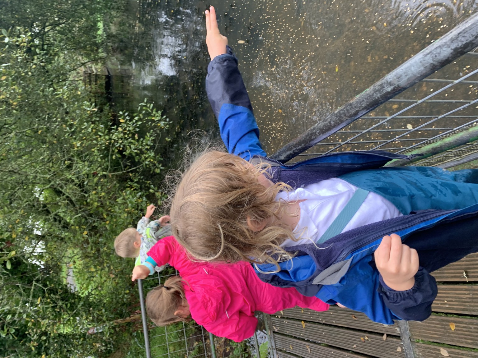 Looking at the wildlife in and on the pond