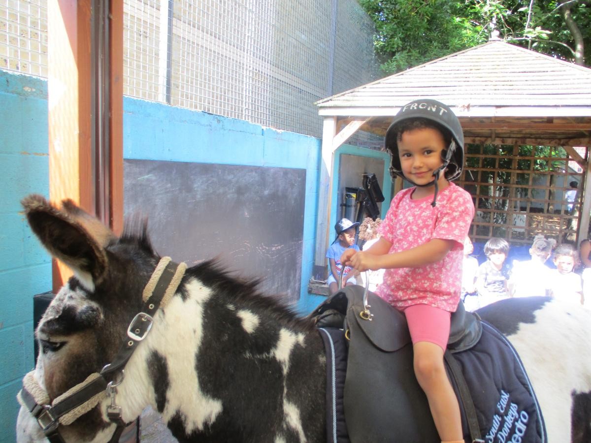 Child on a horse