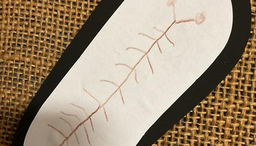 Stick insects 