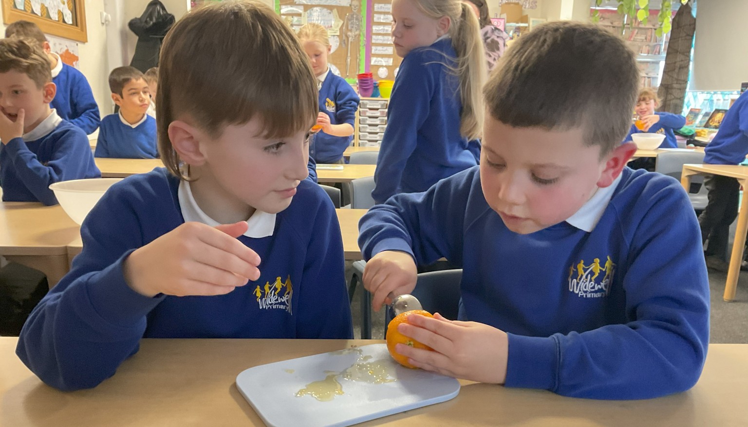 Mummifying oranges