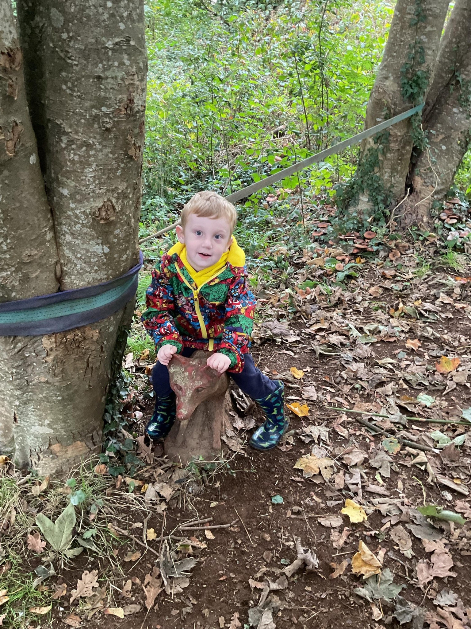 Conservation area exploration