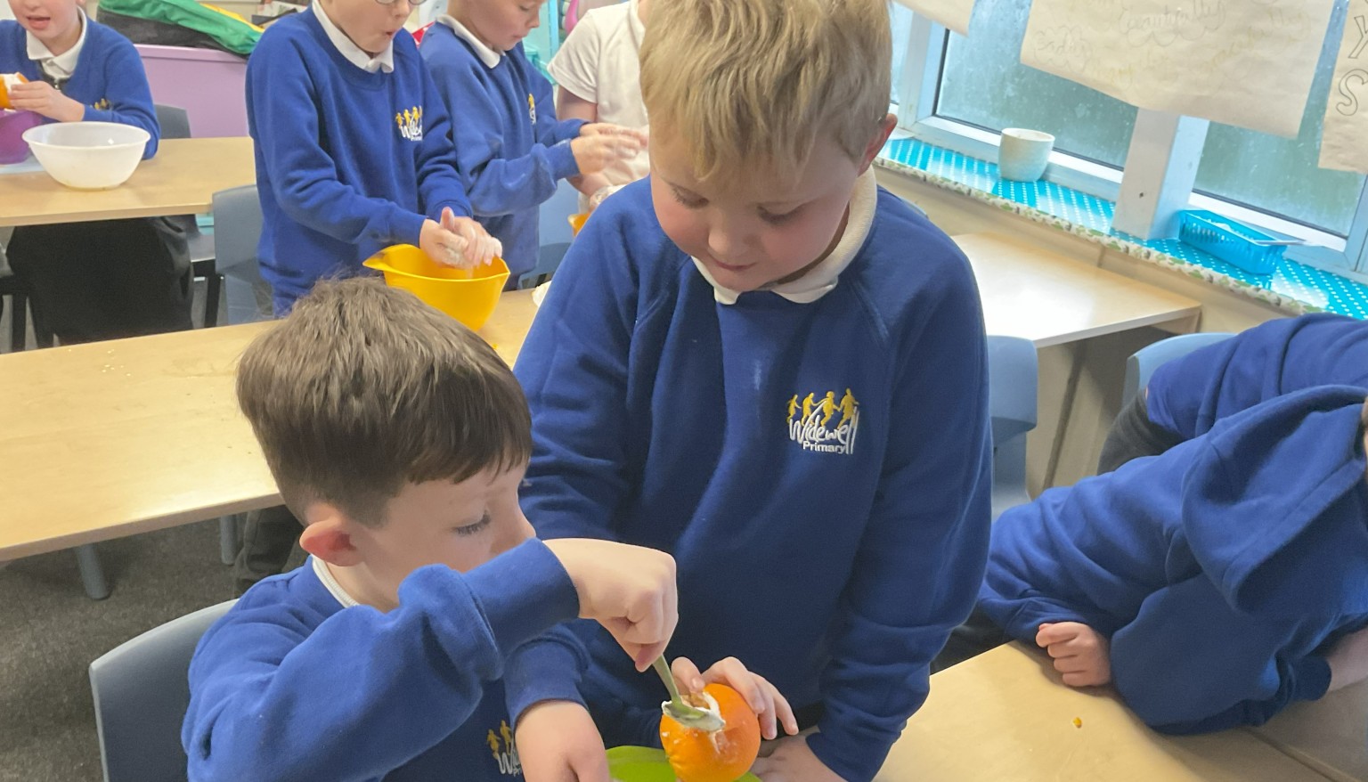 Mummifying oranges