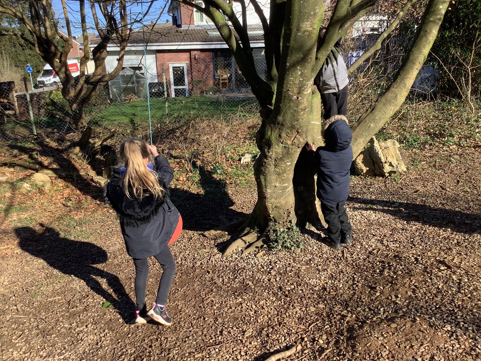 Conservation area