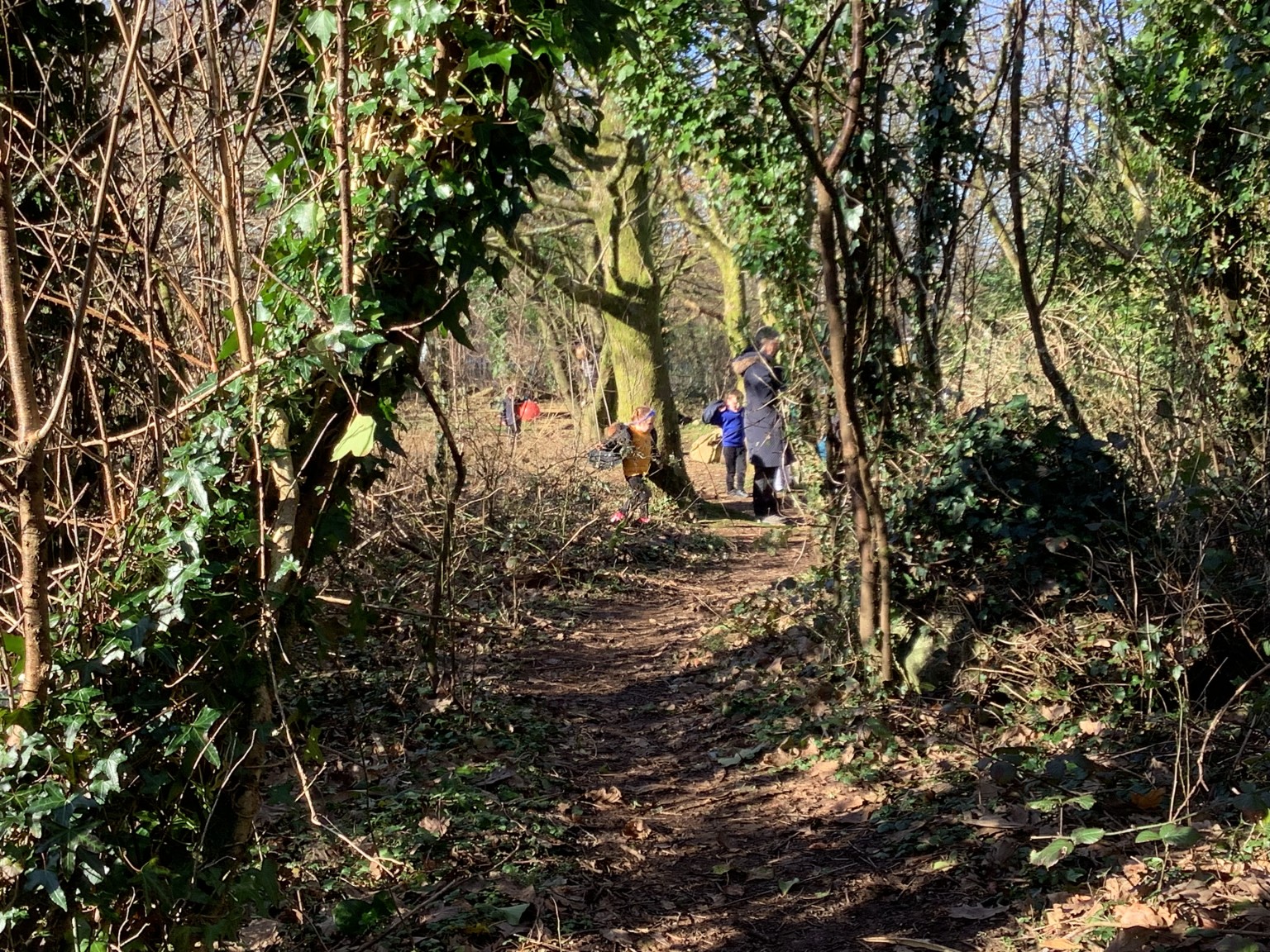 Conservation area