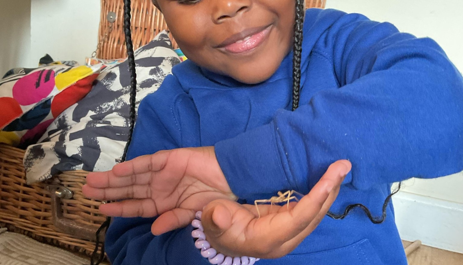 Stick insects 