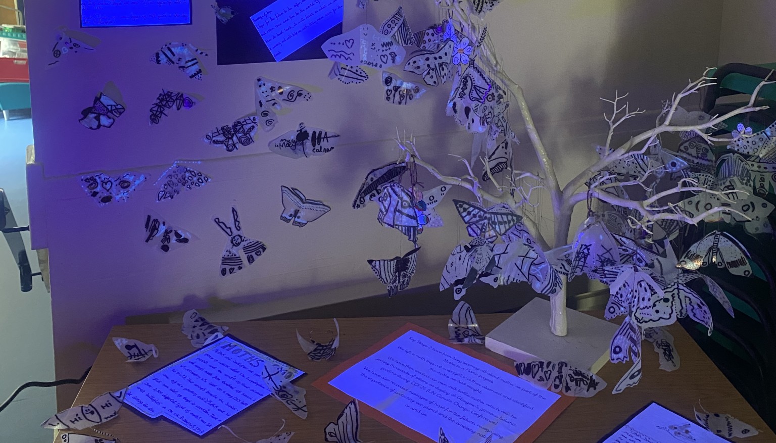 Participating in immersive projects