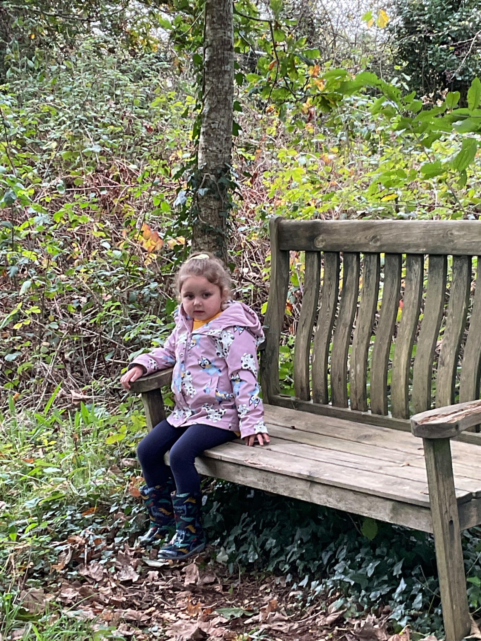 Conservation area exploration