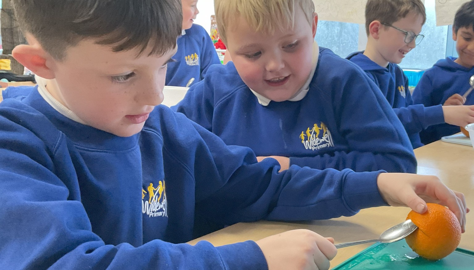Mummifying oranges
