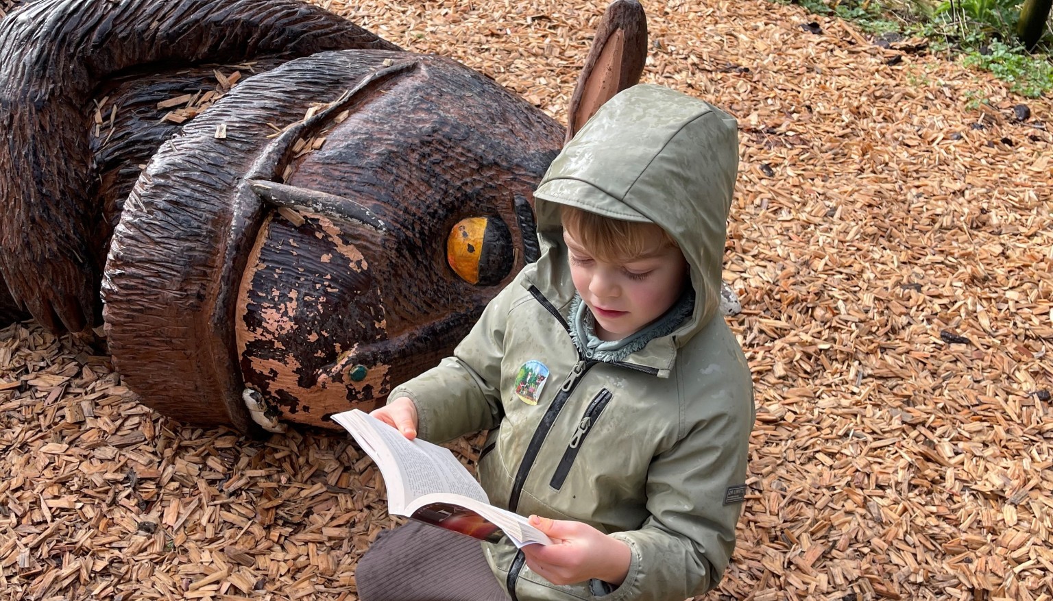 At Widewell, we love to read everywhere!