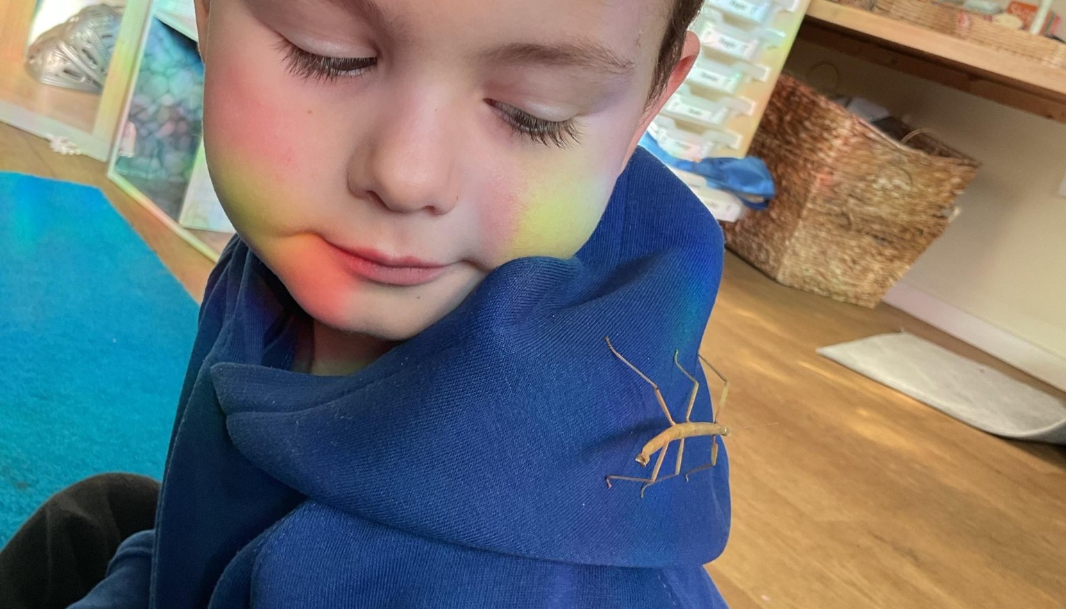 Stick insects 