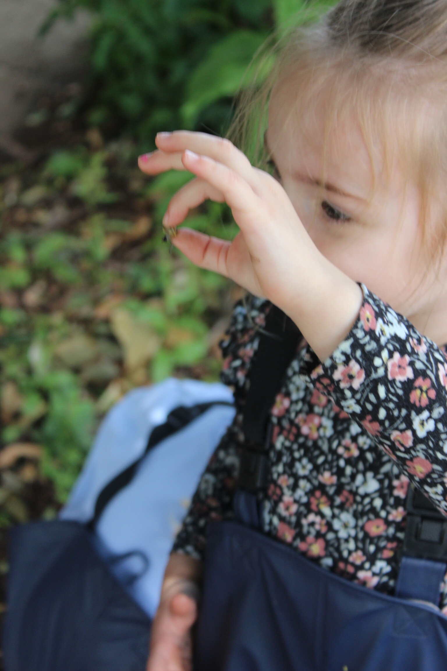 bug hunting 2