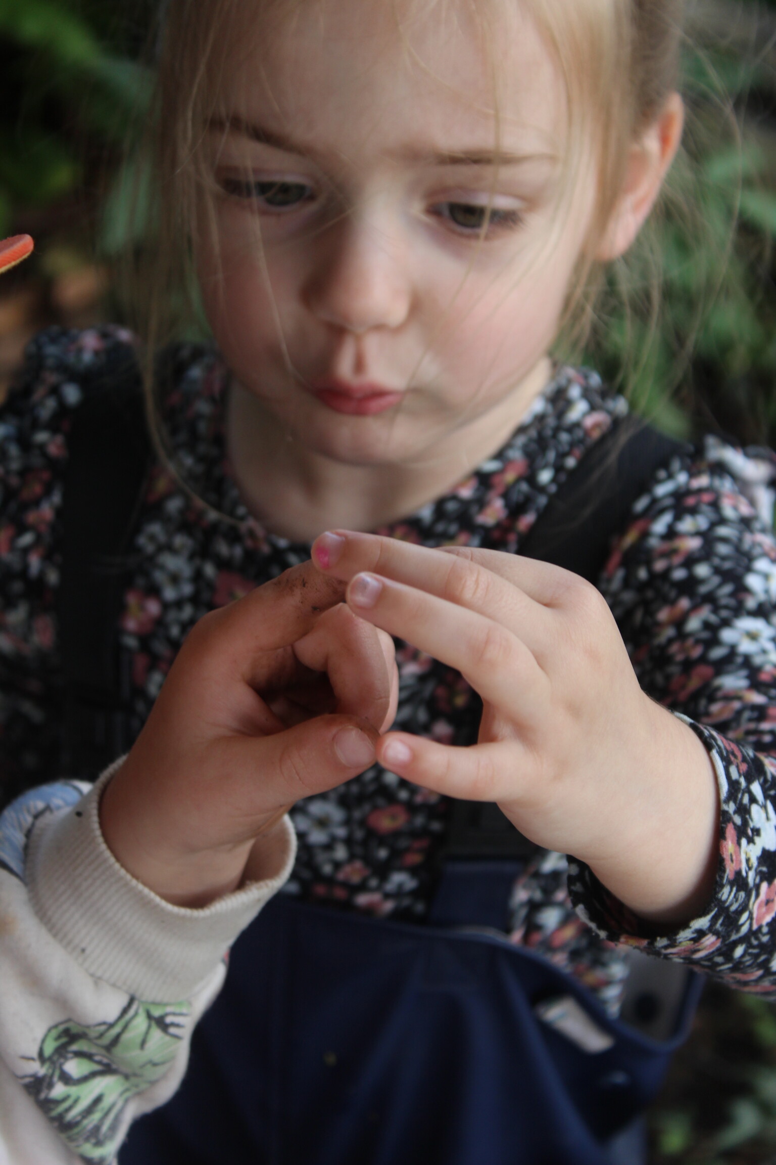 bug hunting 1
