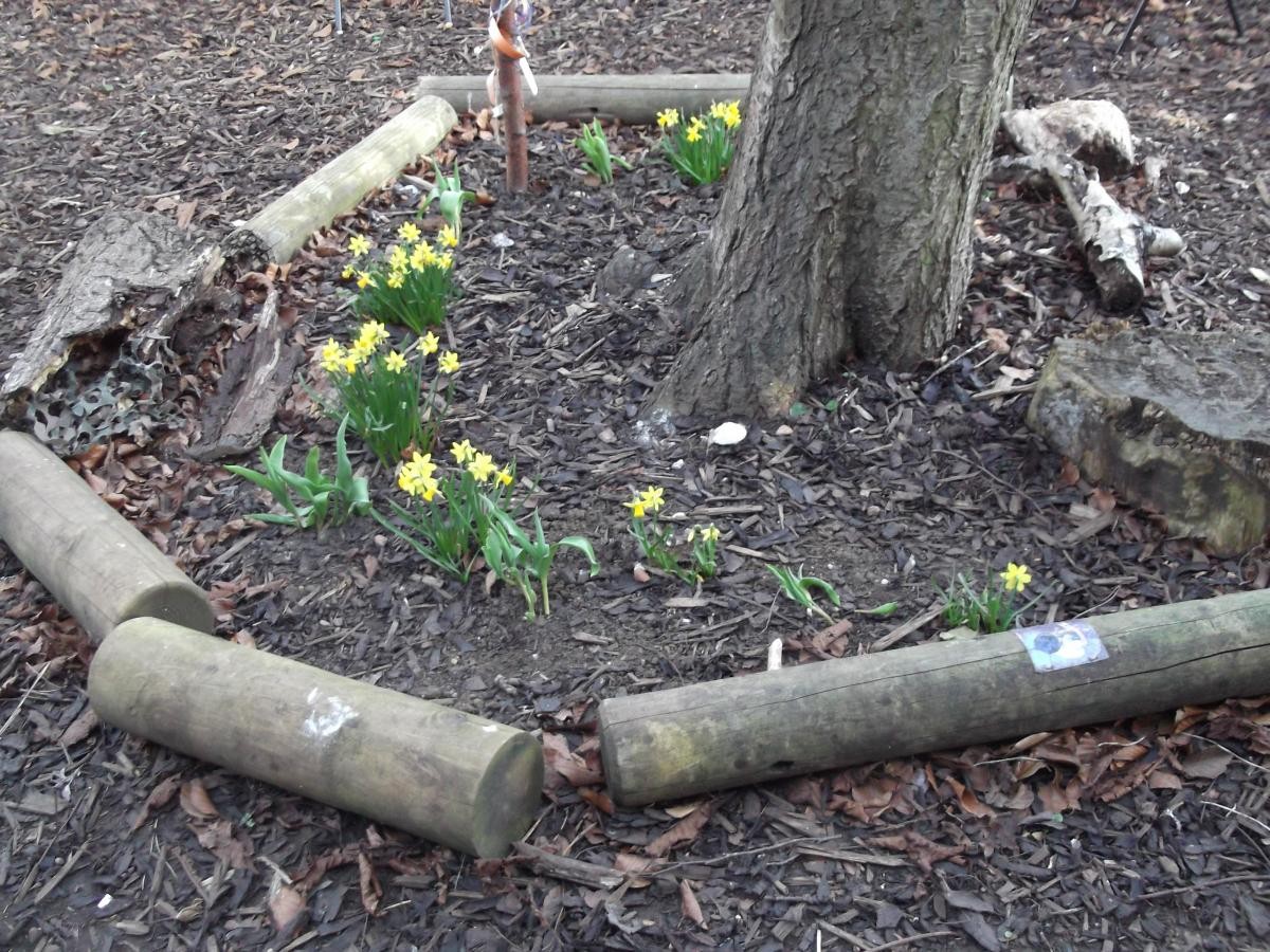Woodland Garden