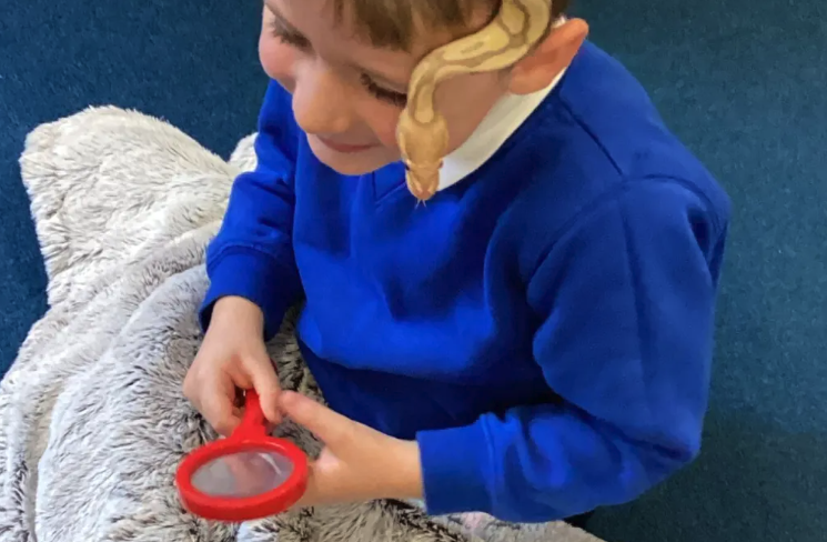 Exploring Early Science in Nursery – A Science Curriculum Visit Nov 14, 2023