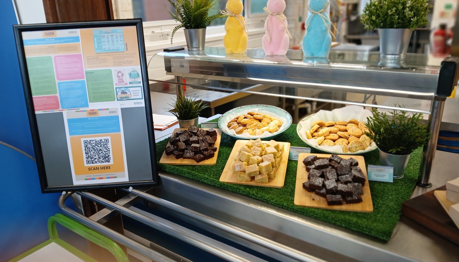  Samples displayed