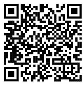 Basketball and netball pupil voice